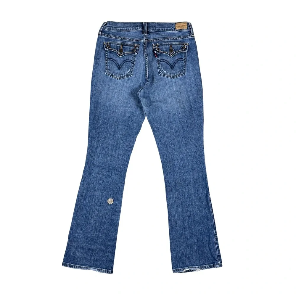 these levi